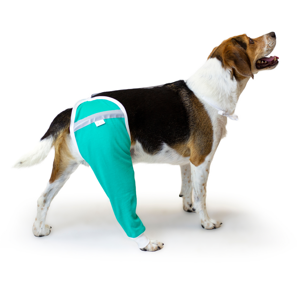 ROZKITCH Dog Surgery Recovery Sleeve for Front Legs, Pet Prevent Licking  Wound Elbow Brace Protector, Dog Leg Sleeve to Stop Licking Cone Collar