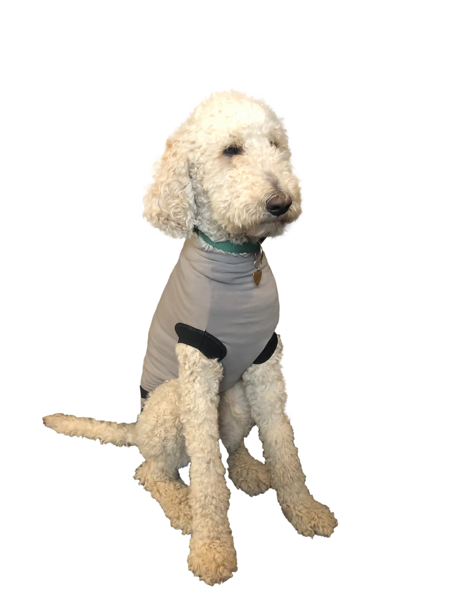 VetMedWear Suit - After Surgery Pet Clothing for Wound Protection